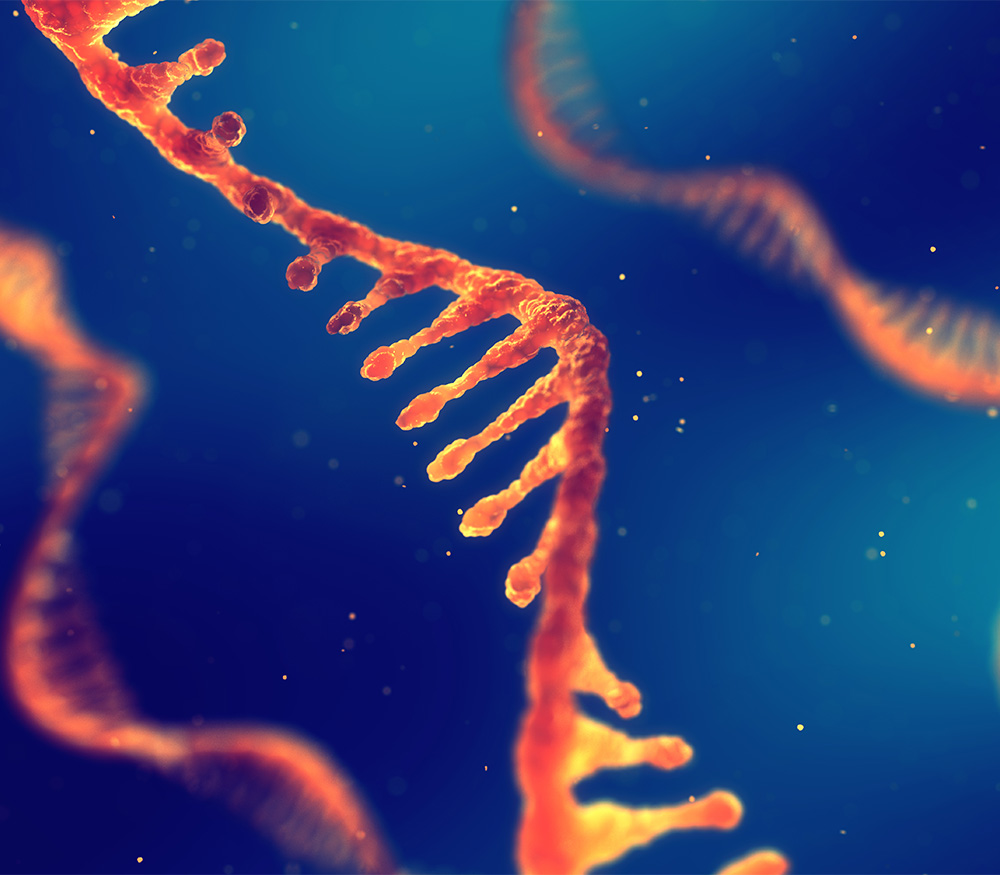 Computer-generated image of RNA strand for a news article on RNA medicines