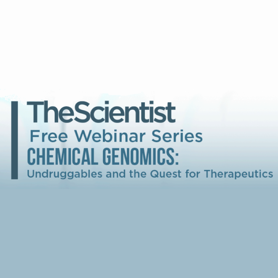 Chemical Genomics: Undruggables and the Quest for Therapeutics