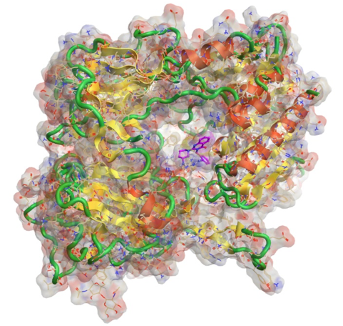 Ligand binding mode visualization showing a DPPIV ligand PDB: 2ONC