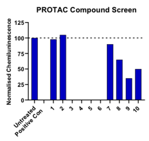 PROTAC compound screen graph