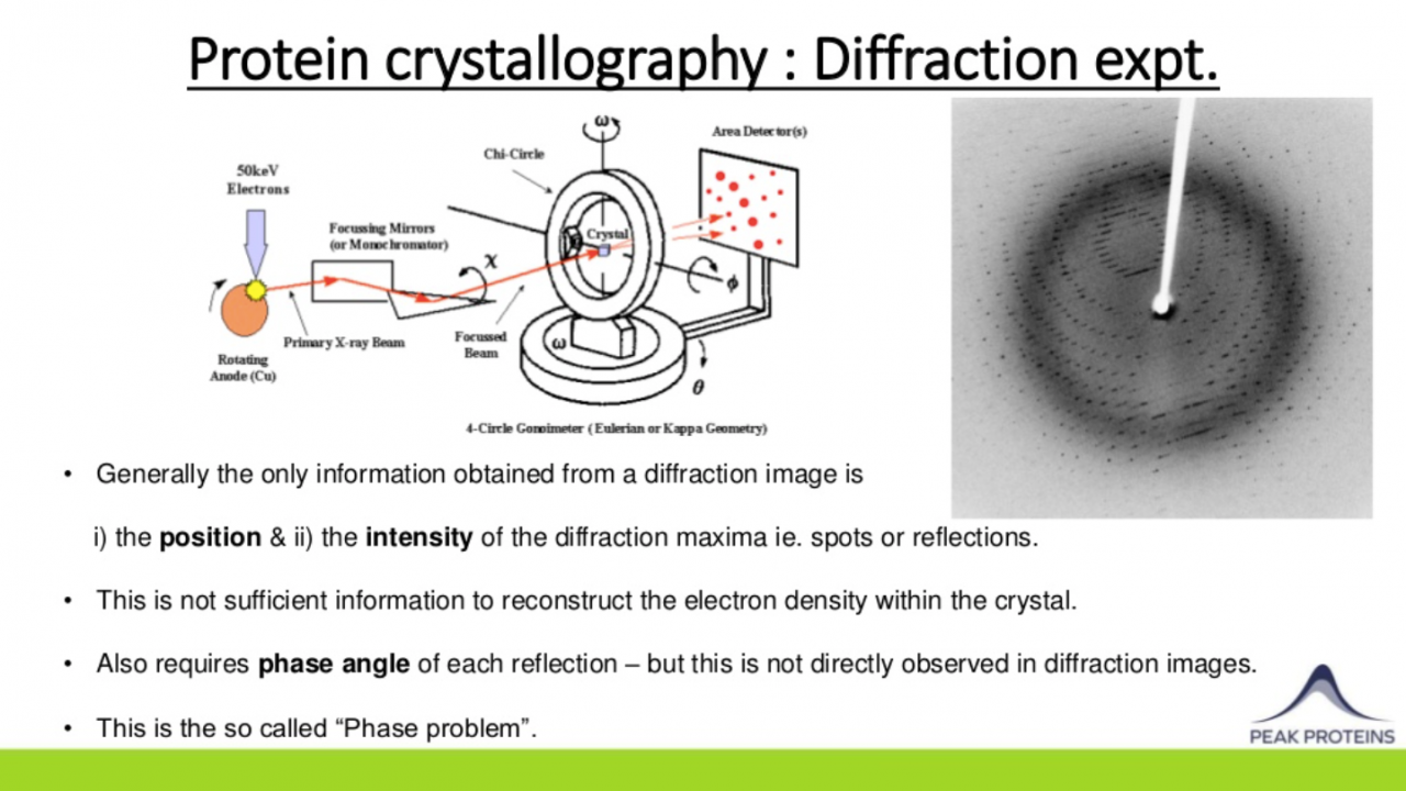 Proteins X Ray Crystal Structures And How To Get Them 6451