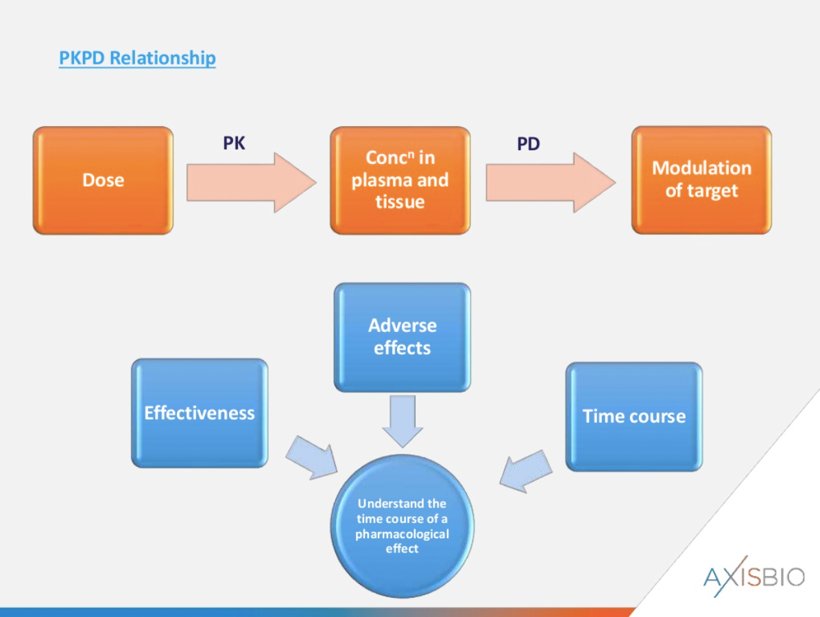 PK PD Relationship diagram