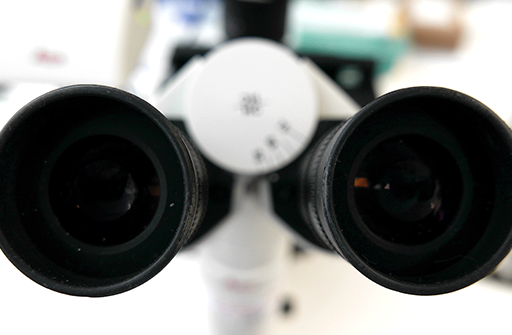 Image of microscope eyepieces for the medicines discovery blog webpage