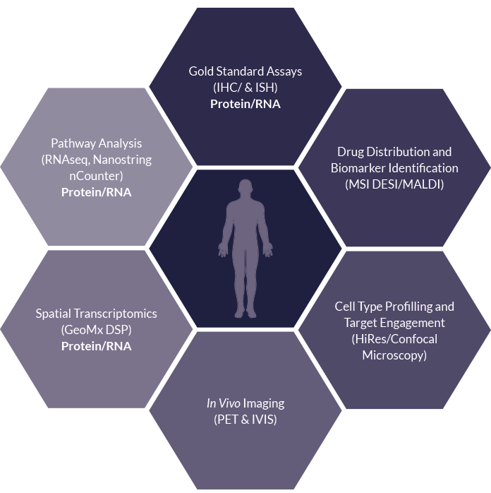 Biomarkers at Medicines Discovery Catapult