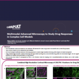 ELRIG posters Multimodal Advanced Microscopy to Study Drug Responses in Complex Cell Models