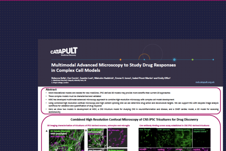 ELRIG posters Multimodal Advanced Microscopy to Study Drug Responses in Complex Cell Models