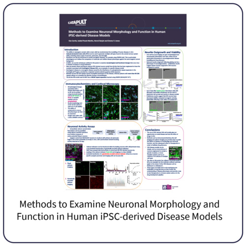ELRIG poster Methods to Examine Neuronal Morphology and Function in Human iPSC-derived Disease Models