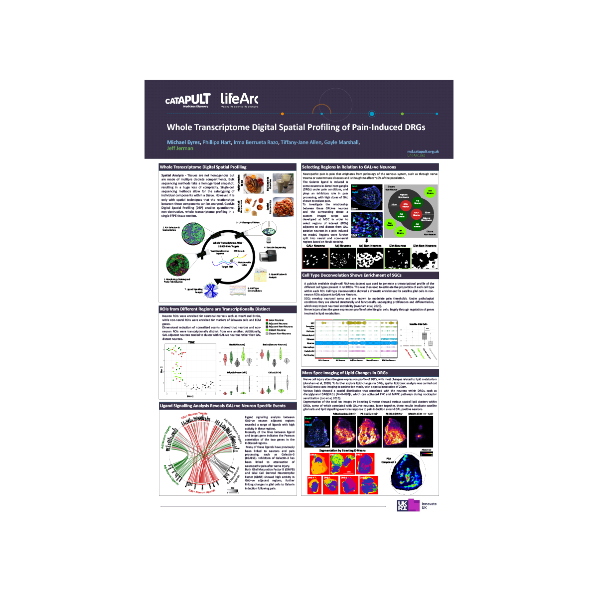 Transcriptome Digital Spatial Profiling