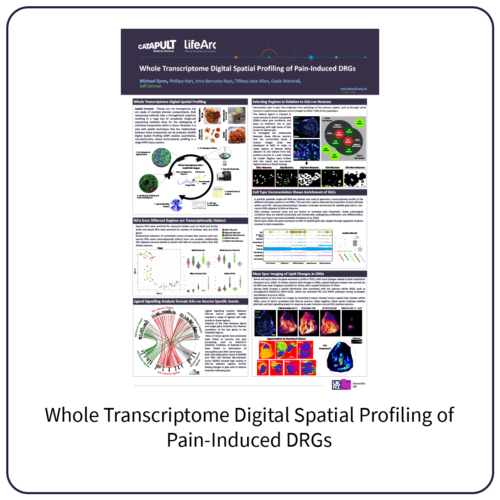 ELRIG Poster Whole Transcriptome Digital Spatial Profiling of Pain-Induced DRGs