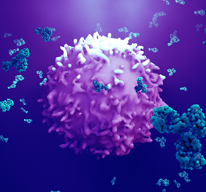 Antibodies-attack-a-cancer-cell-or-virus-3d-illustration