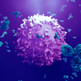 Antibodies attack a cancer cell or virus 3d illustration