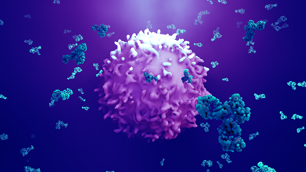 Antibodies attack a cancer cell or virus 3d illustration