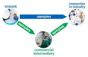 A guide to sourcing biosamples - Medicines Discovery Catapult