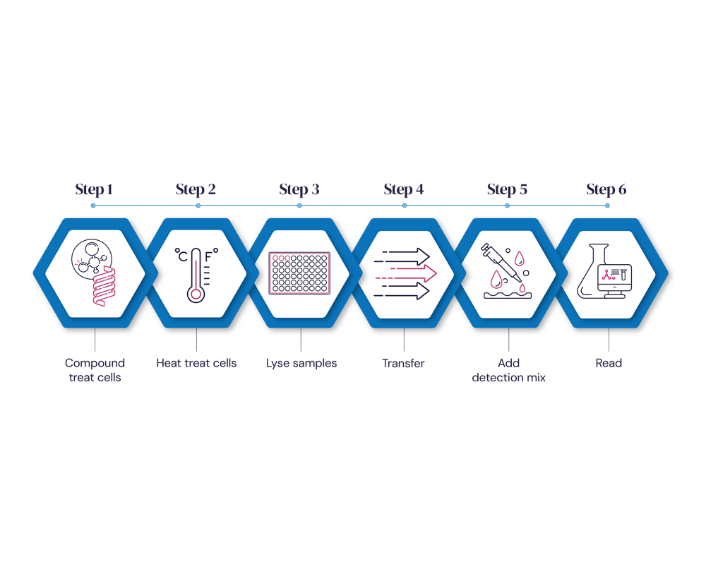 CPSA diagram showing the current process