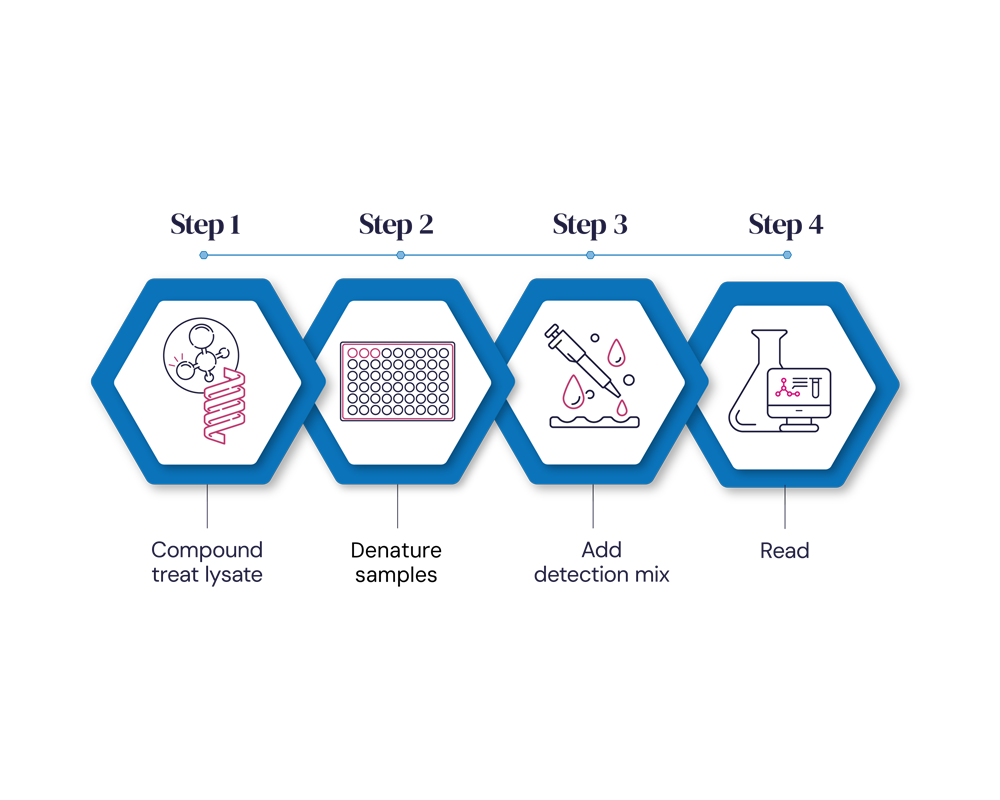 CPSA diagram showing the new process