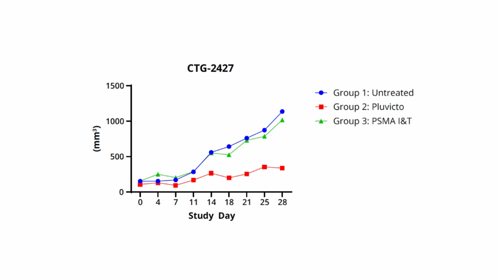 Figure 2: CTG-2427 mice were divided into three groups: Group 1 was untreaded, Group 2 was dosed i.v. with Pluvicto (37 MBq on Day 0 and 18.8 MBq on day 13th) and Group 3 was dosed i.v. with PSMA I&T (37 MBq on Day 0 and 18.8 MBq on day 13th).