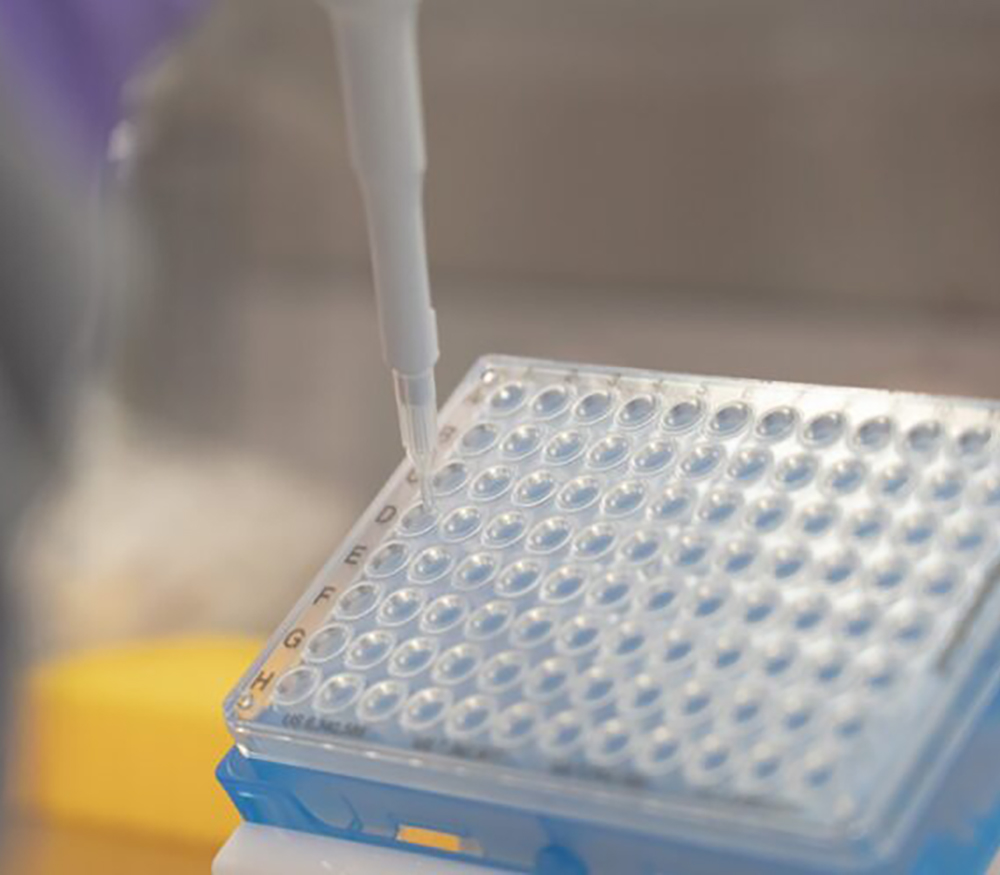 A pippette in a well plate for the circulating tumour DNA blog.