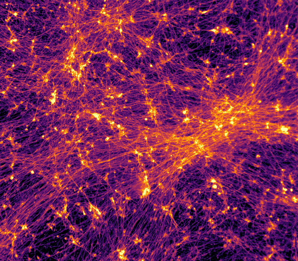 Fireworks in a dish: Fluorescently–labelled human iPSC-neurons