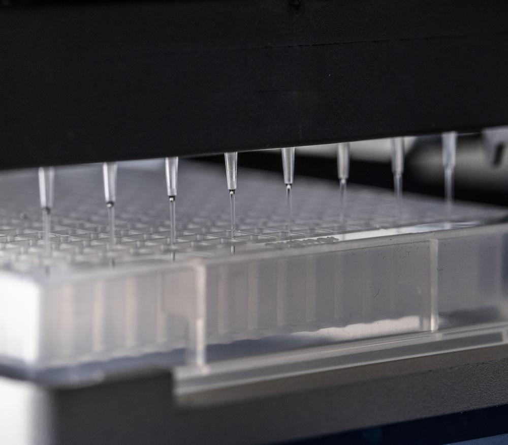 A macro photo of a multi-drop dispensing liquid into a well-plate
