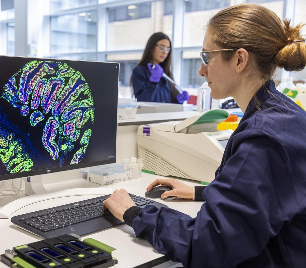 A scientist works at a computer reviewing an image of tissue from a digital spatial profiler as part of early-stage drug discovery research