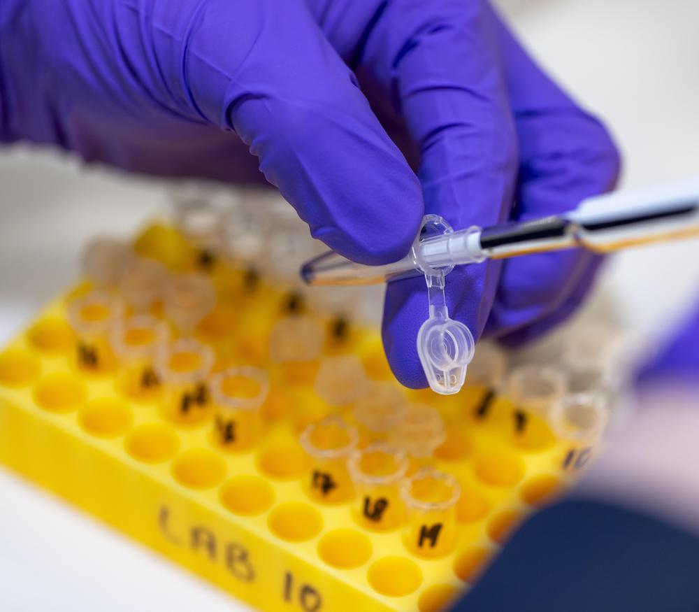 A gloved hand holds a vial while a pipette tip is placed inside above a tube holding tray