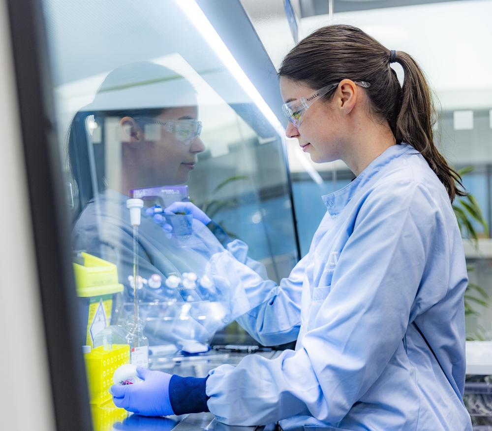 A scientist is pipetting in a safety cabinet in a laboratory.