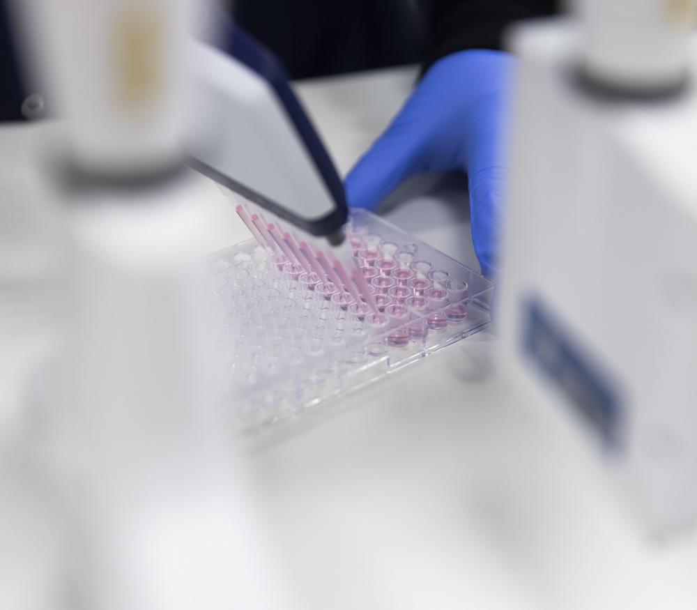A scientist transferring samples in a well-plate with a multichannel pipette in a laboratory.