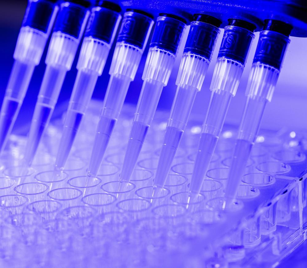 Pippetes being used in a well-plate in a lab
