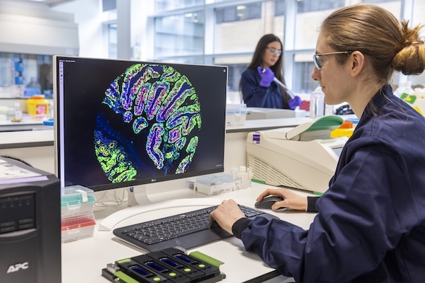 A scientist works at a computer reviewing an image of tissue from a digital spatial profiler as part of early-stage drug discovery research.