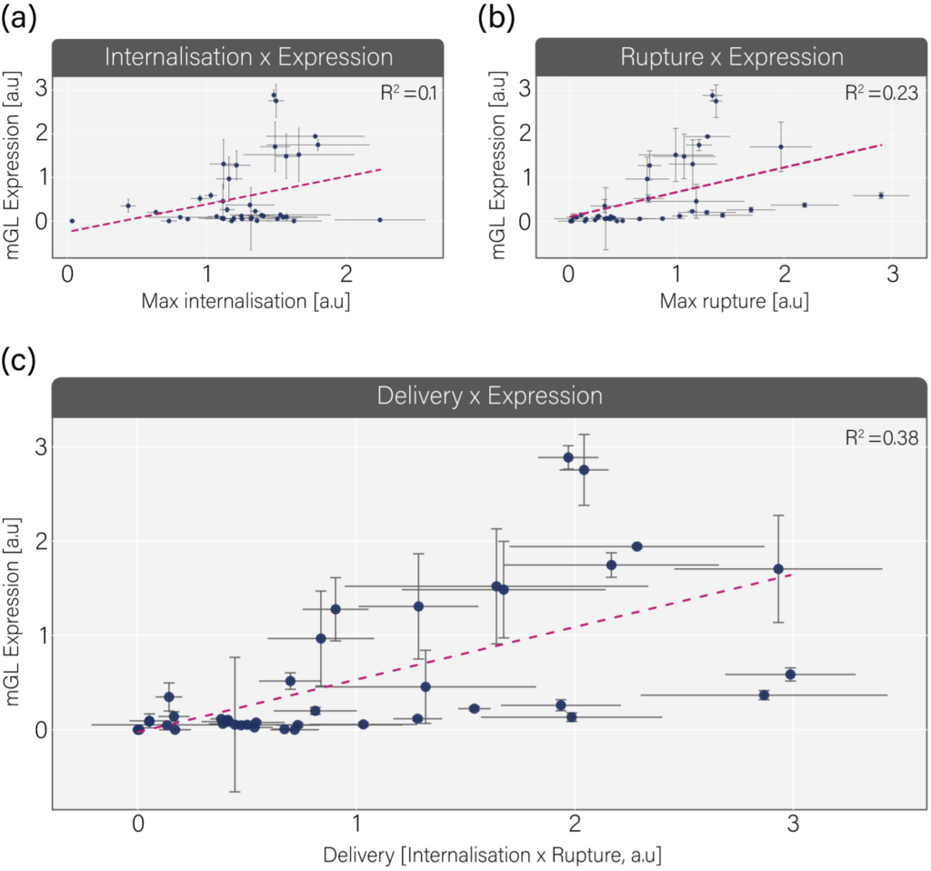 Diagram showing Combing internalisation and rupture into a predictive metric termed delivery