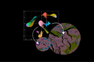 Xenium Plot and Core Image