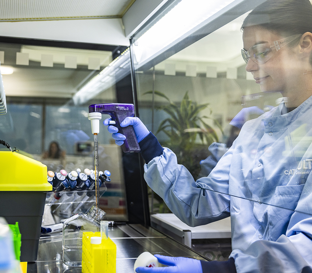 A scientist works at a safety cabinet in a laboratory