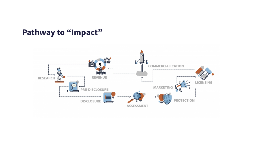 A graphic to help describe the IP protection strategy