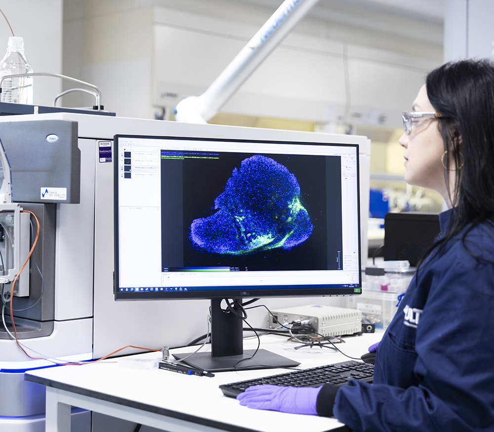 A scientist sits in a laboratory reviewing data from mass spectrometry imaging.